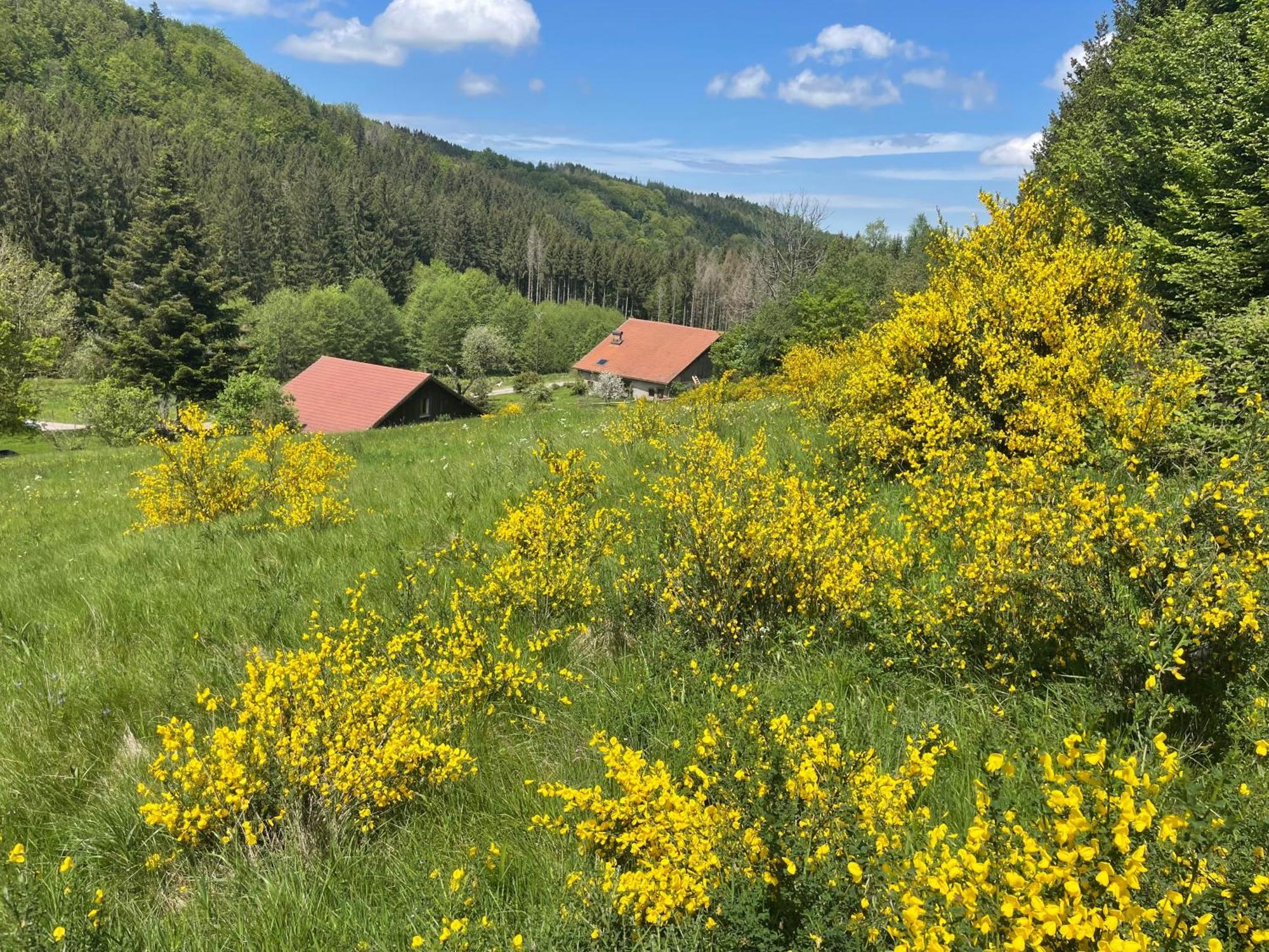 La Hutte Villa Tendon Exteriör bild