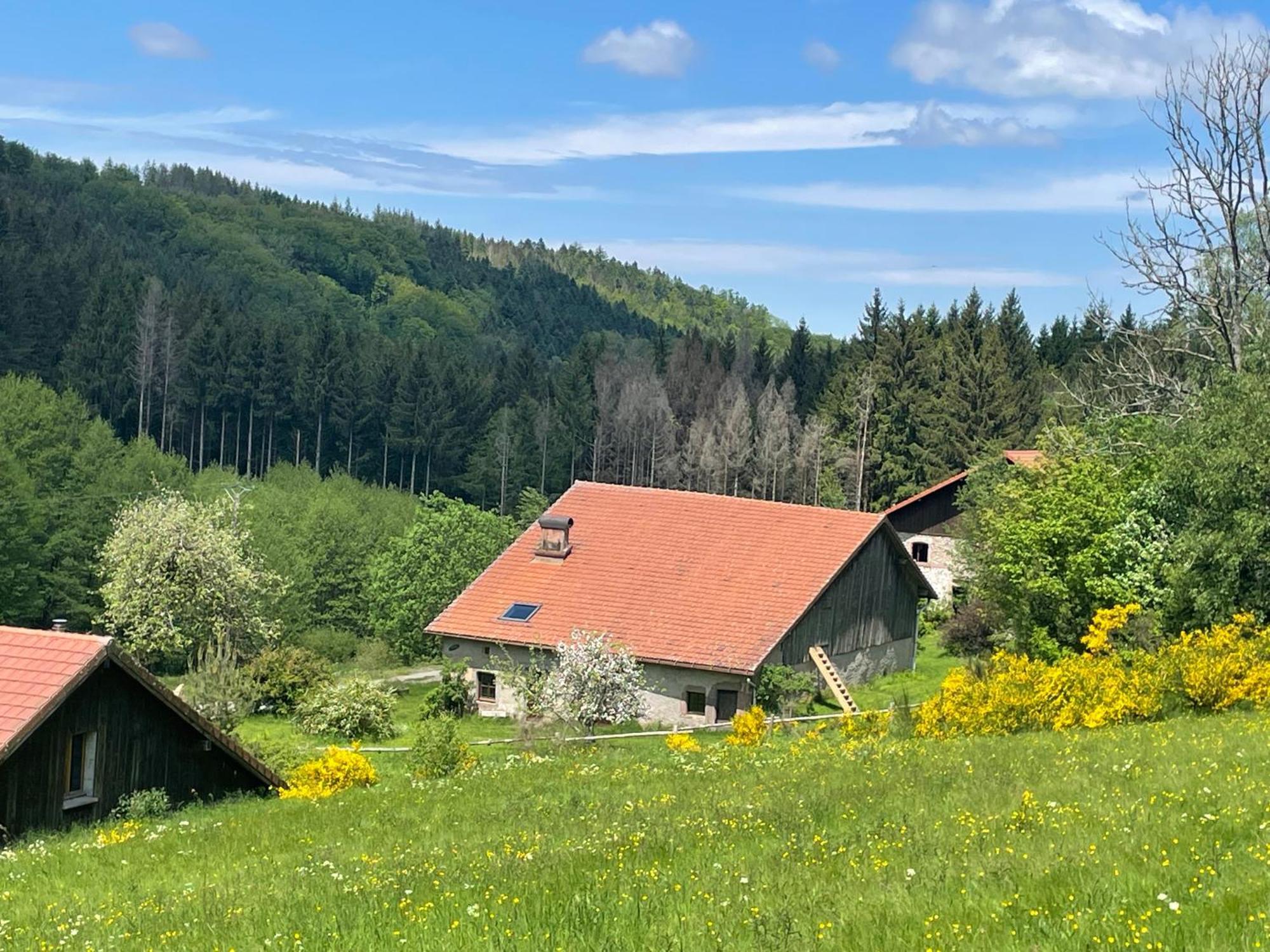 La Hutte Villa Tendon Exteriör bild